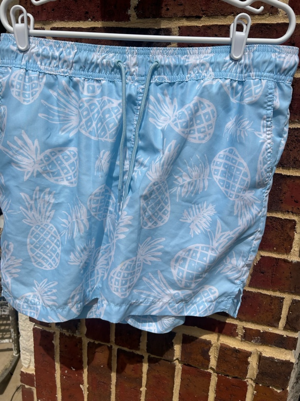 Light Blue Pineapple Print Swim Shorts